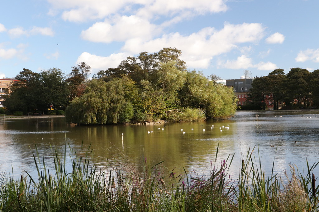 Leazers Park pond