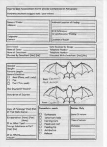 Bat care form